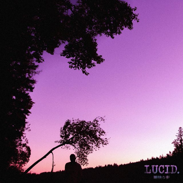 Lucid.