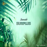 Surplus
