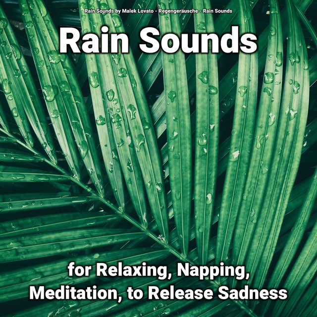 Rain Sounds for Relaxing, Napping, Meditation, to Release Sadness