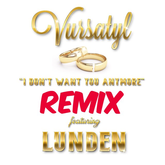 I Don't Want You Anymore (feat. Lunden Benard)