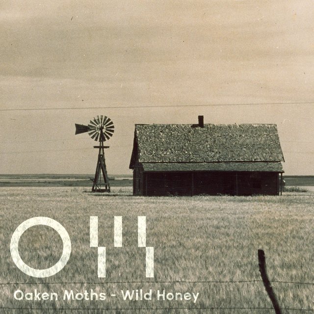 Wild Honey