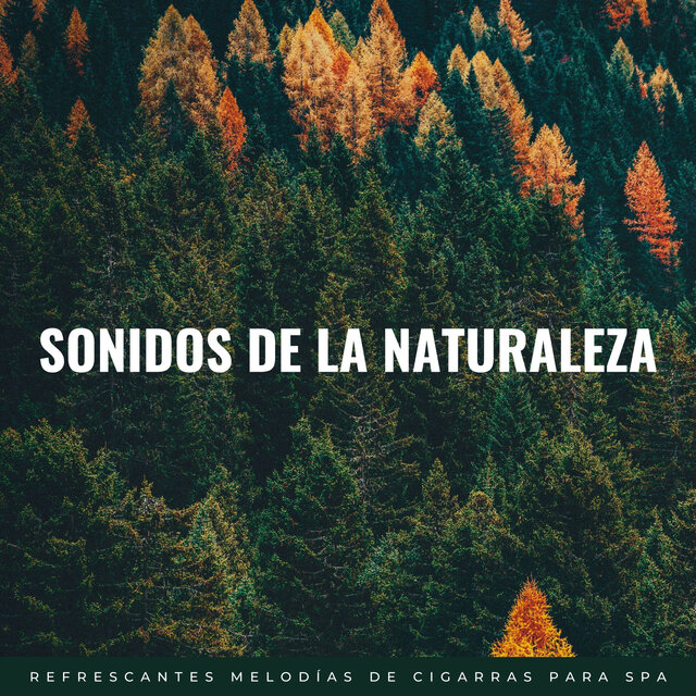 Sonidos De La Naturaleza: Refrescantes Melodías De Cigarras Para Spa