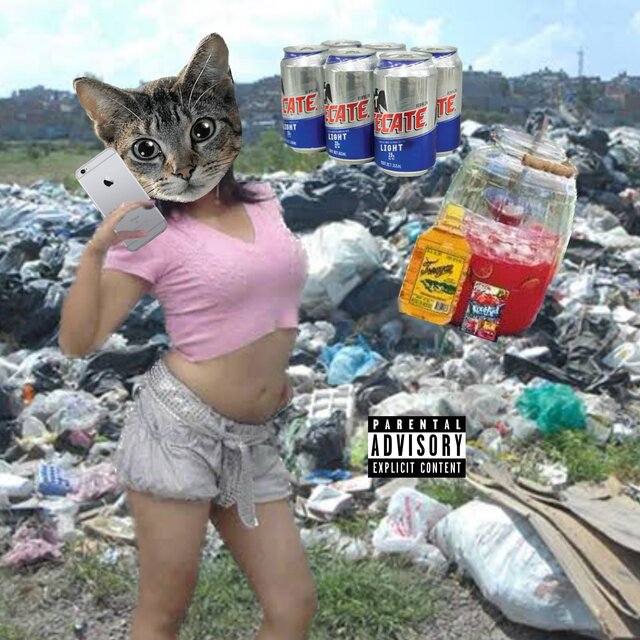 Gata