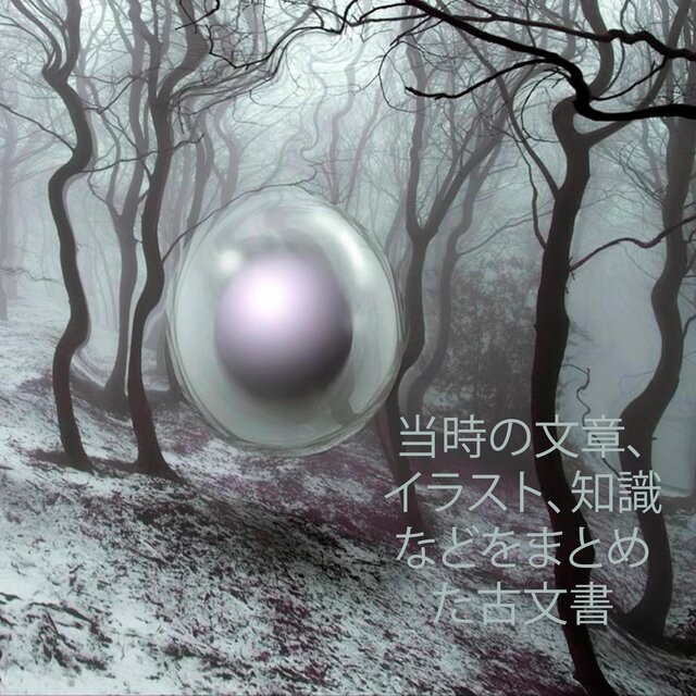 コーデックス