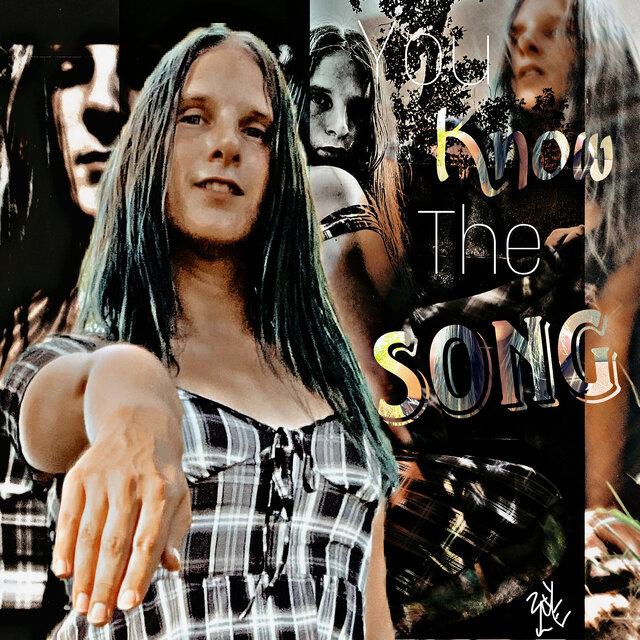 You Know the Song