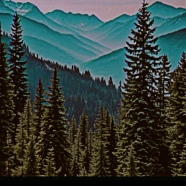 WILDERNESS