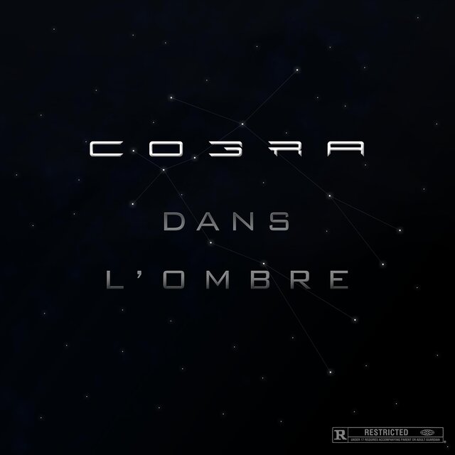 Dans l'ombre