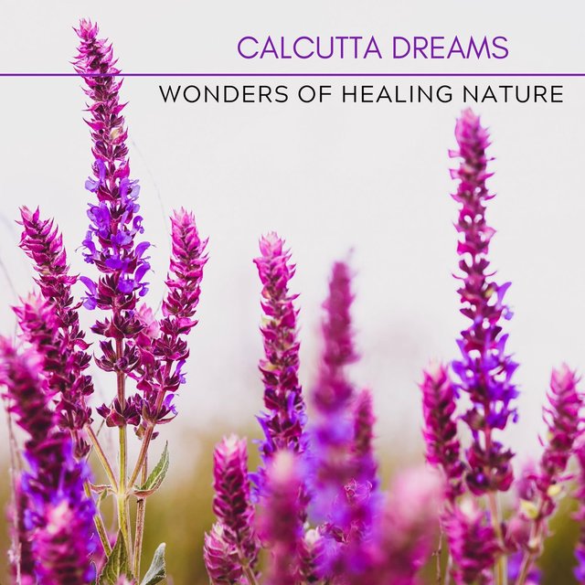 Wonders Of Healing Nature