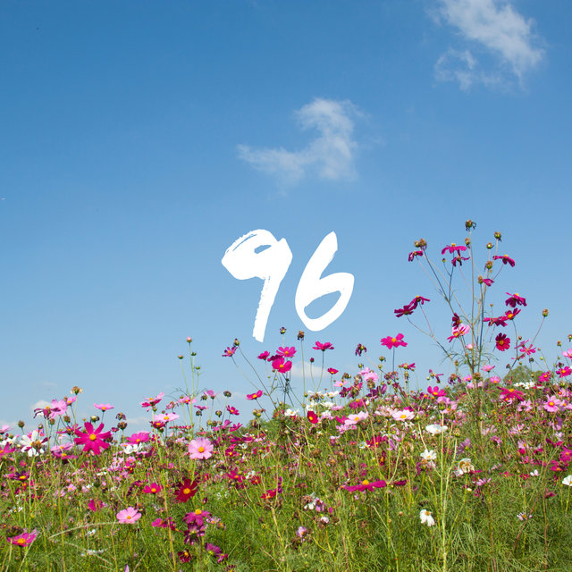 96