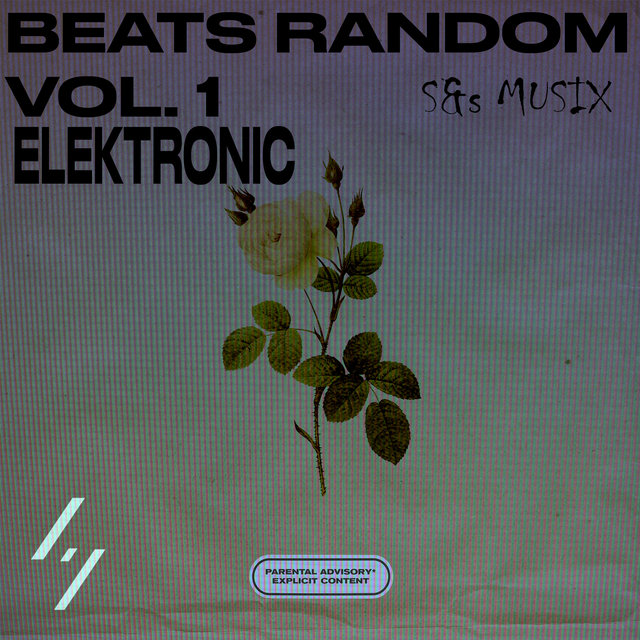Beats Random Elektronic, Vol. 1