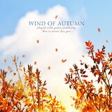 Wind Of Autumn