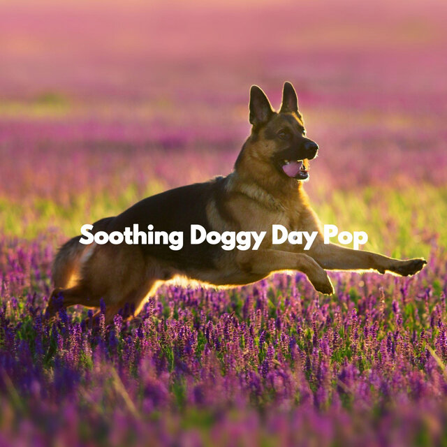 Soothing Doggy Day Pop