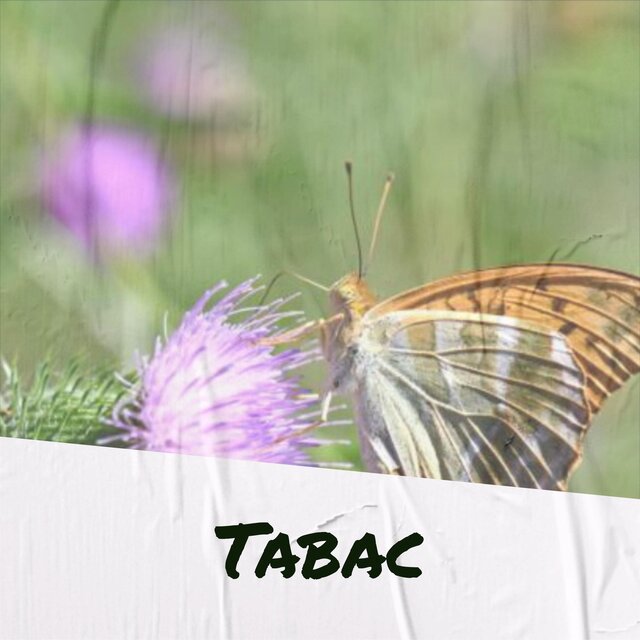 Tabac