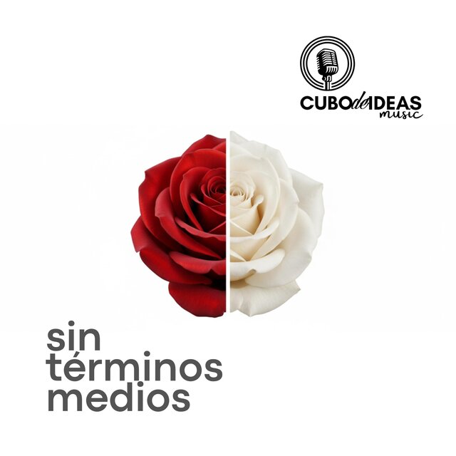 Sin Términos Medios