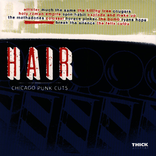 Hair - Chicago Punk Cuts