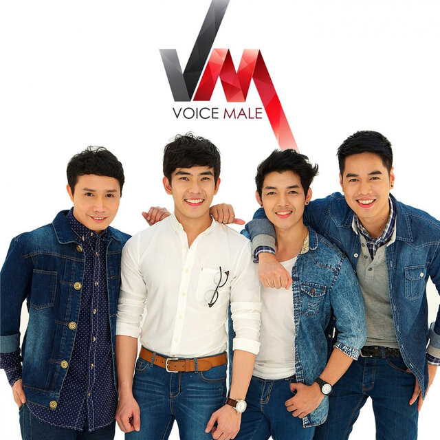 Voice Male