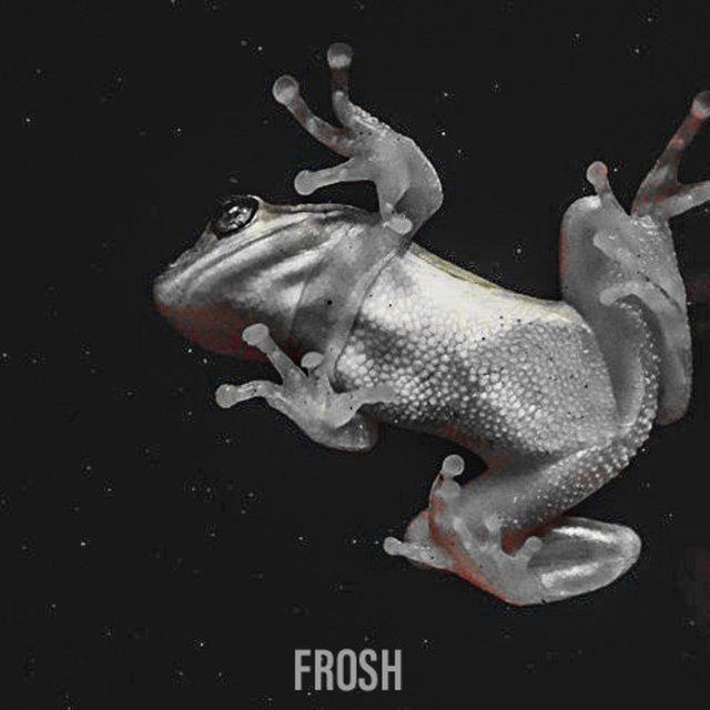 Frosh