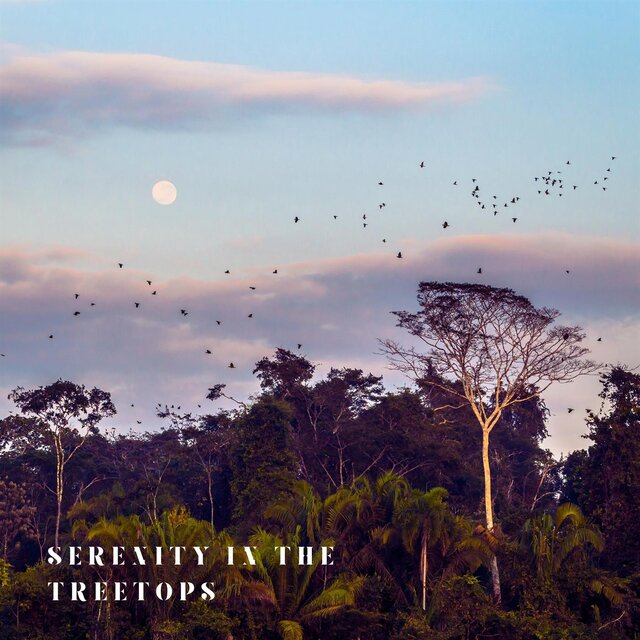 Serenity in the Treetops