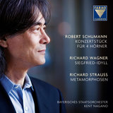 Concertstück  in F Major, Op. 86: II. Romanze. Ziemlich langsam