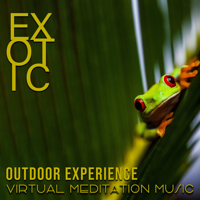 Exotic Outdoor Experience (Virtual Meditation Music)
