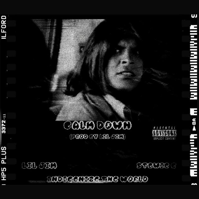Calm Down (feat. INDIGENIZE THE WORLD & Stewie G)