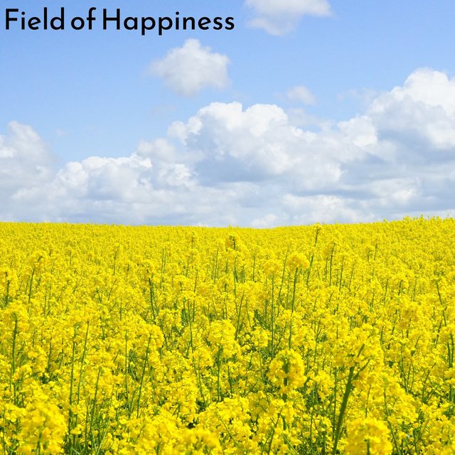 Field of Happiness