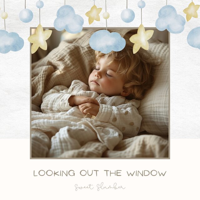 Looking Out the Window