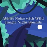 White Noise - Quiet, Windy Night at Lake, Loopable