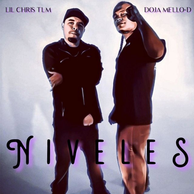 NIVELES