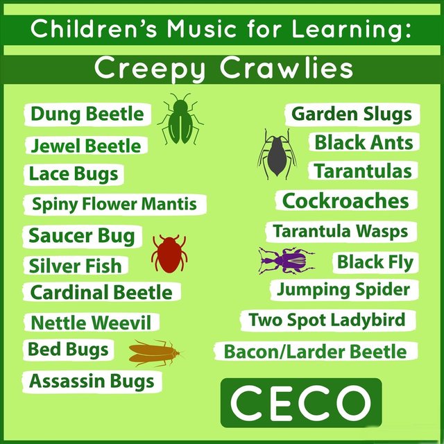 Children's Music for Learning: Creepy Crawlies