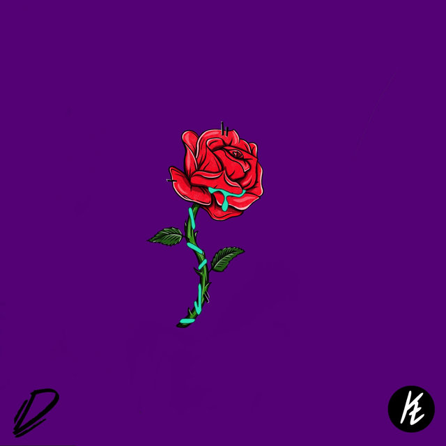 Bloom LP