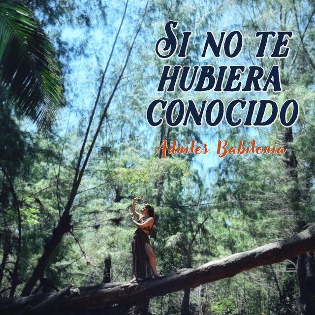 Si no te hubiera conocido