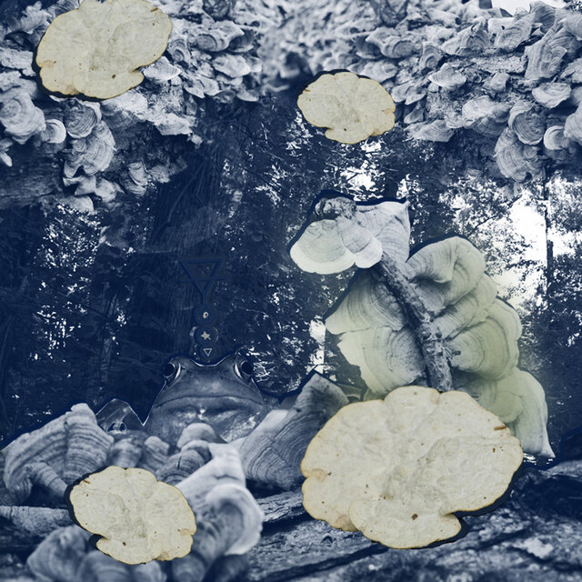 Myco-Glyphos