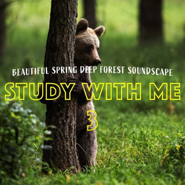 Study with Me: Beautiful Spring Deep Forest Soundscape 3