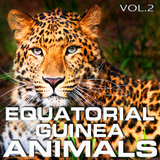 Equatorial Guinea Rain Forest