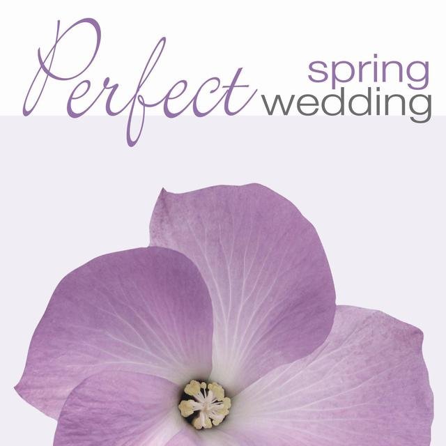 Perfect Spring Wedding