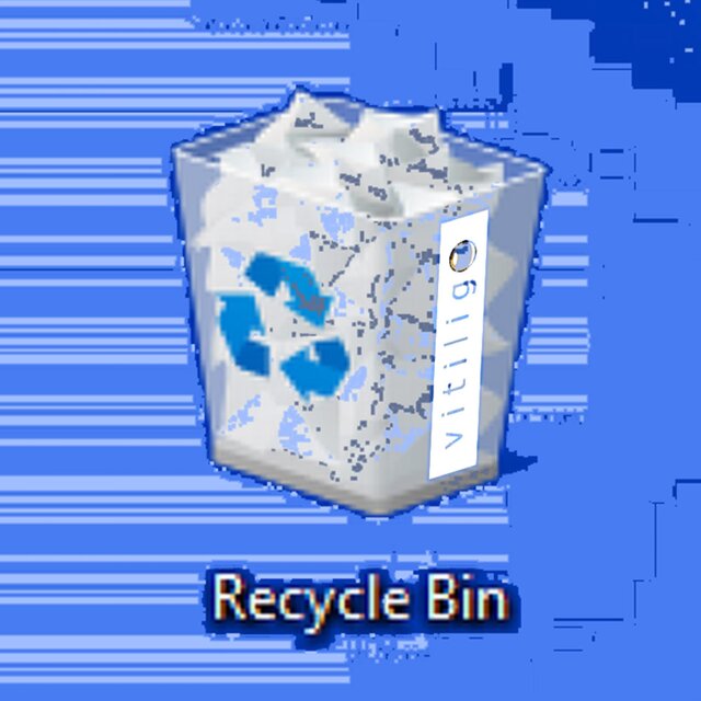 Recycle Bin