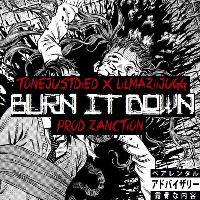 BURN IT DOWN (feat. tønejustdied & LILMAZIIJUGG)