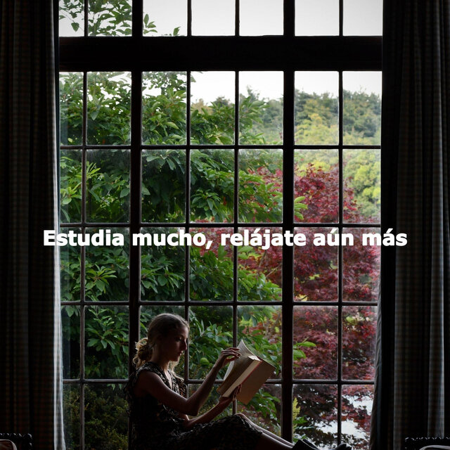 Estudia mucho, relájate aún más