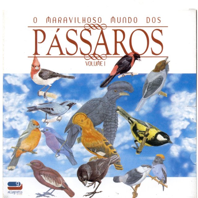 O Maravilhoso Mundo dos Pássaros – Volume 1