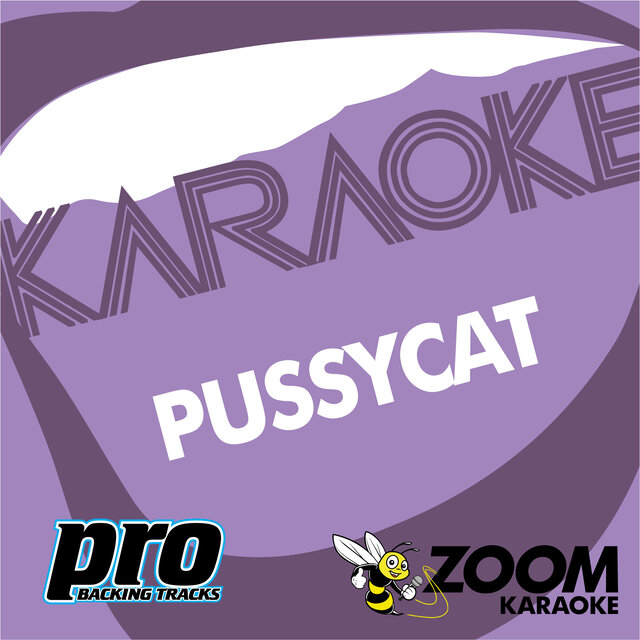 Zoom Karaoke - Pussycat Collection (Karaoke Versions)