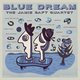Cover art for album Blue Dream by Jamie Saft Quartet