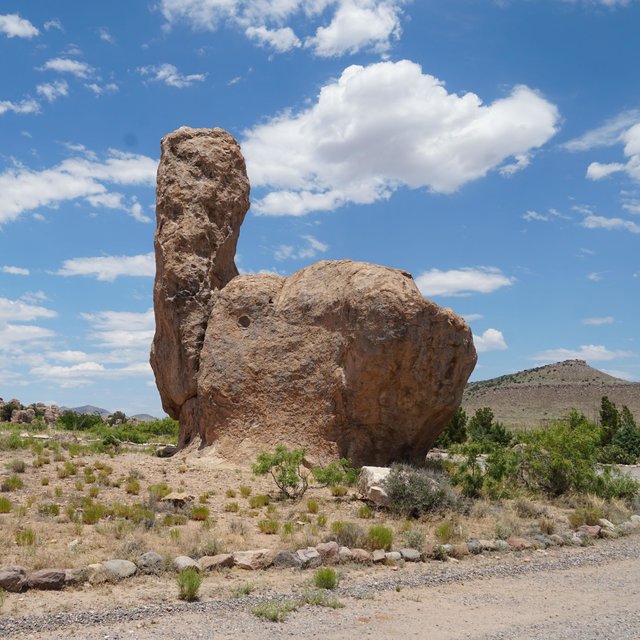 Live In New Mexico