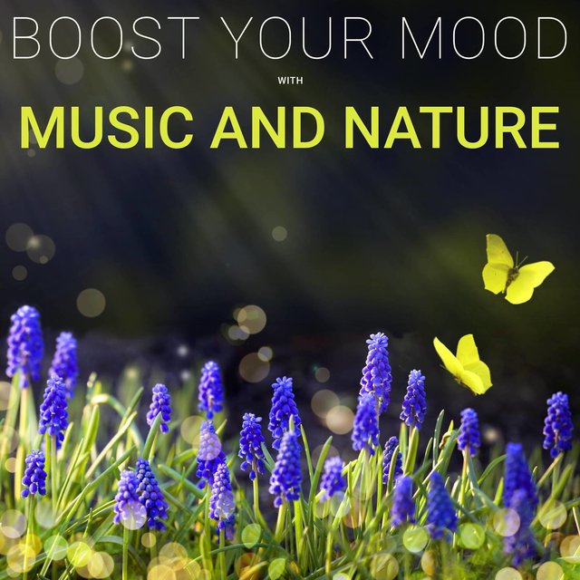 Boost Your Mood with Music and Nature: Sea Waves, Rain, Birds Chirping to Help Your Study