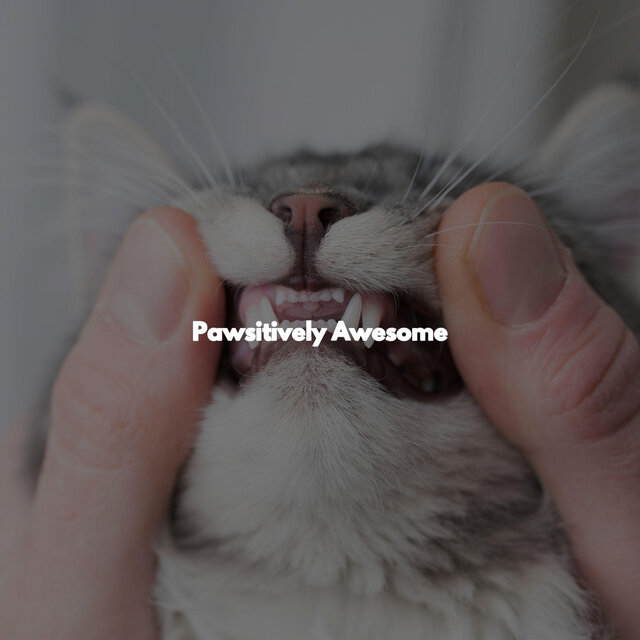 Pawsitively Awesome