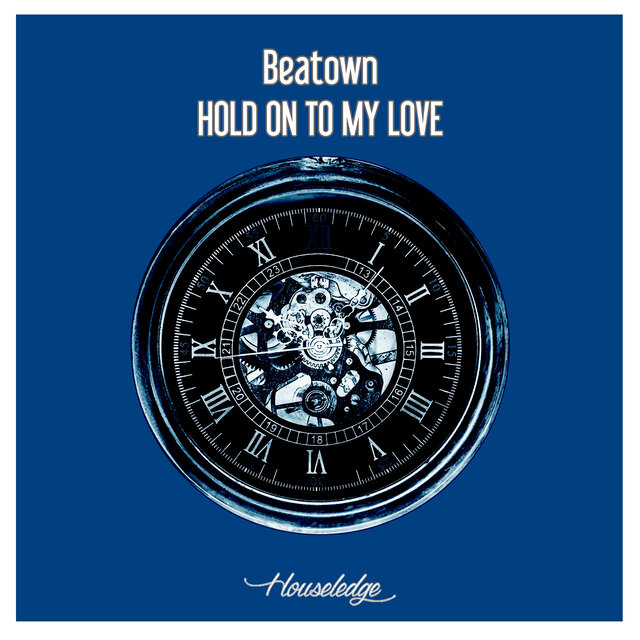 Hold On To My Love