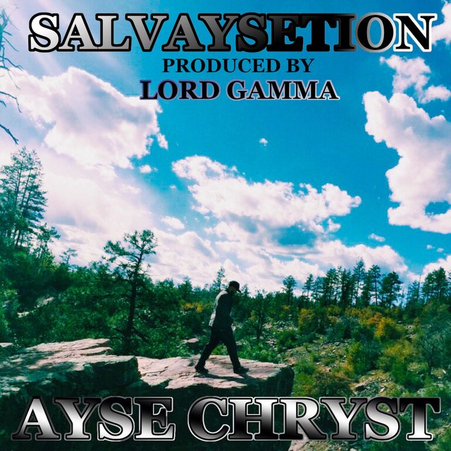 SALVAYSETION