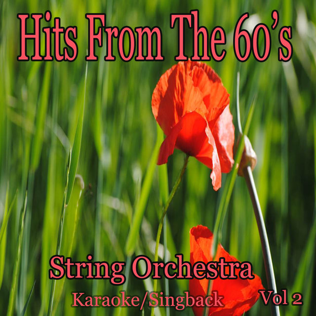 Hits from the 60's/Karaoke/Singback Vol. 2