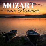 Piano Concerto No. 24 in C Minor, K. 491: II. Larghetto