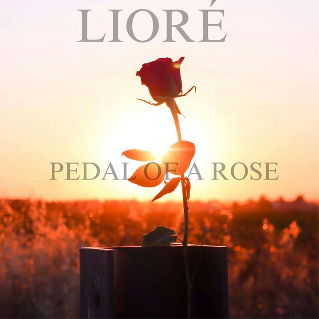 PEDAL OF A ROSE